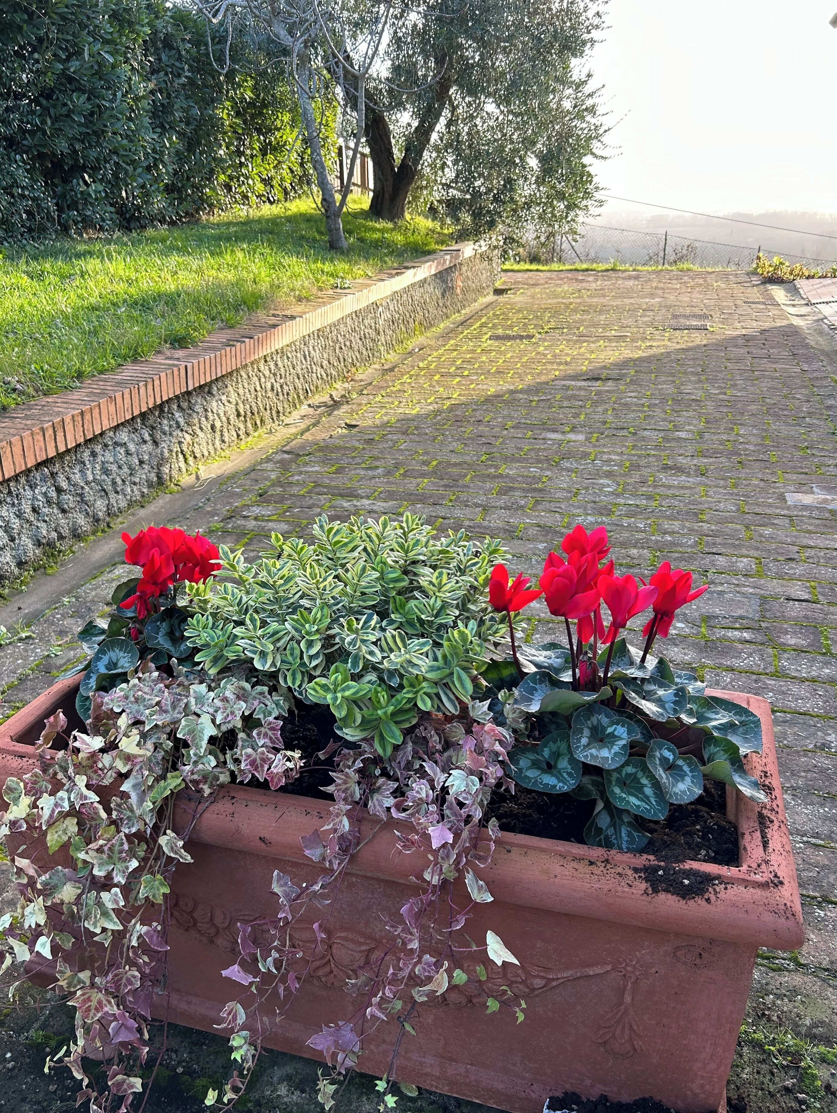 Parco della struttura