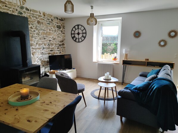 TV connectée, cheminée, livres