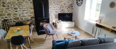 TV connectée, cheminée, livres