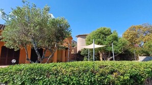 A courtyard with a tree, a building with a tiled roof, and a hedge.