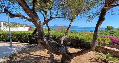 Villa at San Teodoro - near the sea and city center: nature, views and silence!