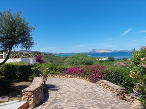 Área da propriedade