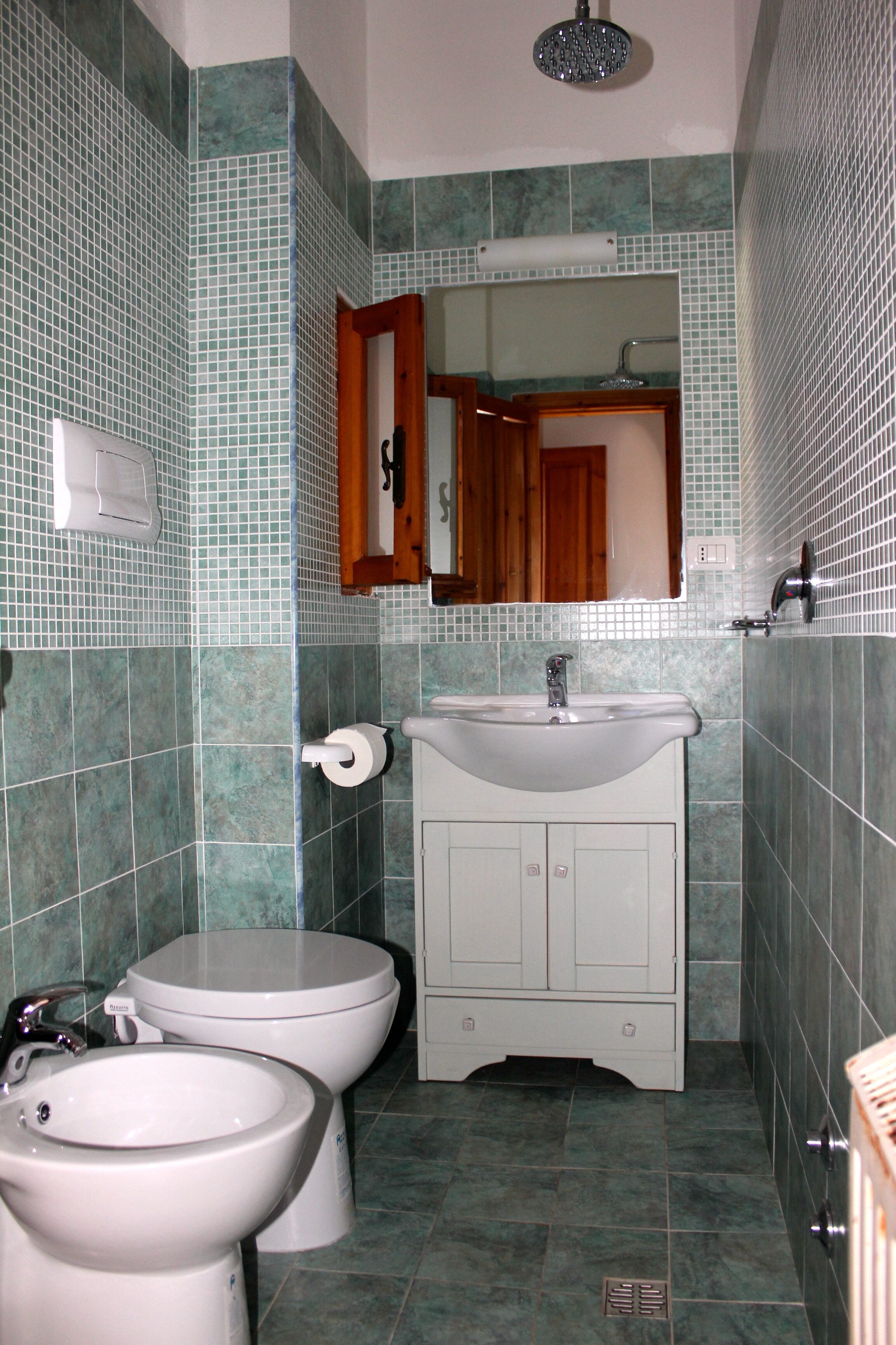 A bathroom with two toilets, a sink, and a mirror above the sink.
