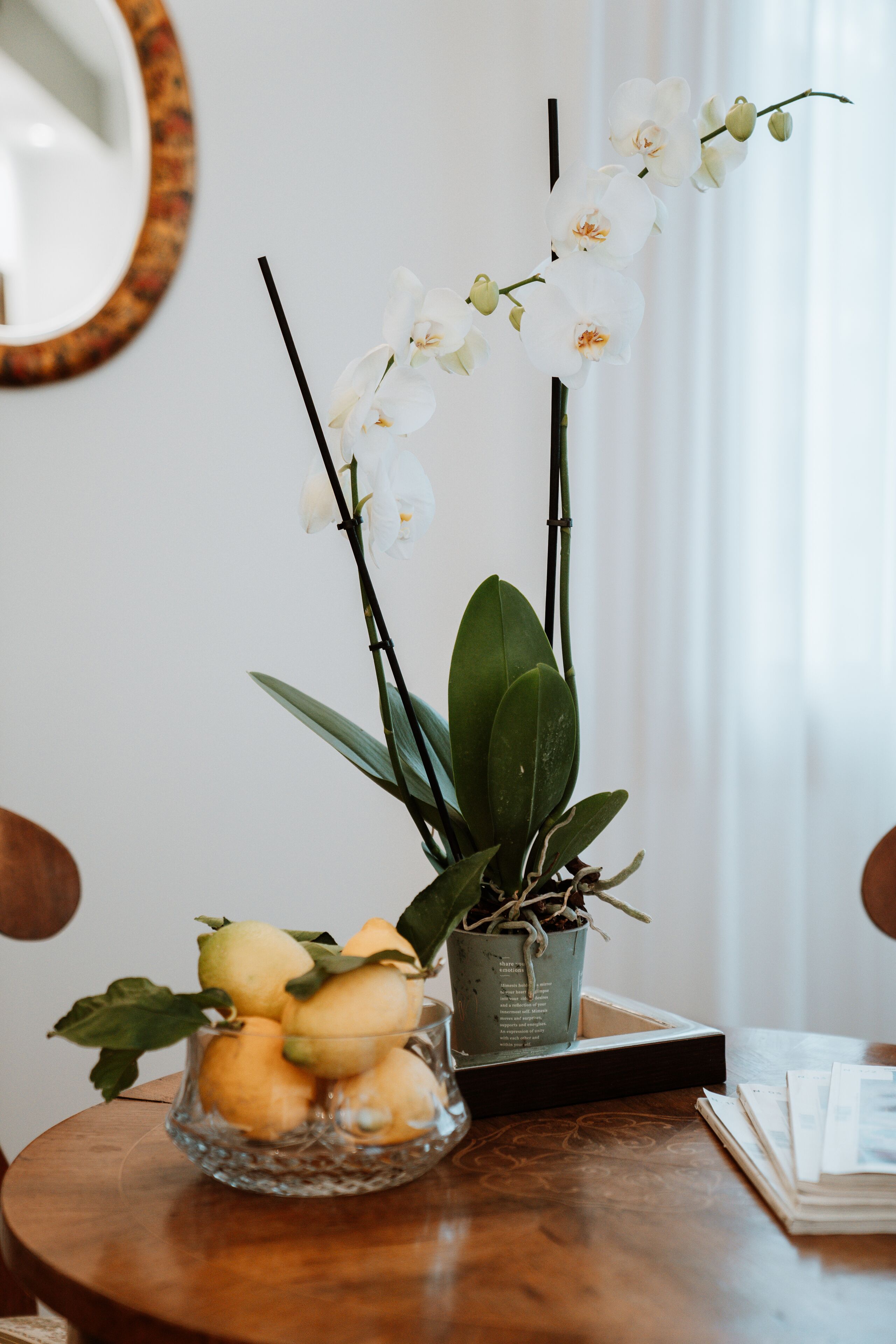 Un tavolo rotondo in legno con una ciotola di vetro contenente pere, un’orchidea in vaso e un libro.