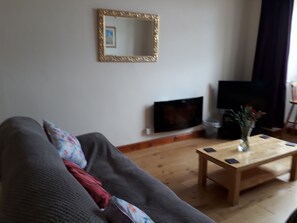 Télévision, cheminée, lecteur de DVD, livres