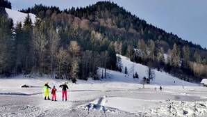A snowy ski slope with a forested hill in the background. - Feel-good apartment TANNE (Sankt Blasien)