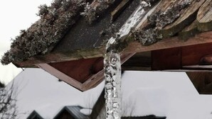 Icicles hanging from a roof edge. - Feel-good apartment TANNE (Sankt Blasien)