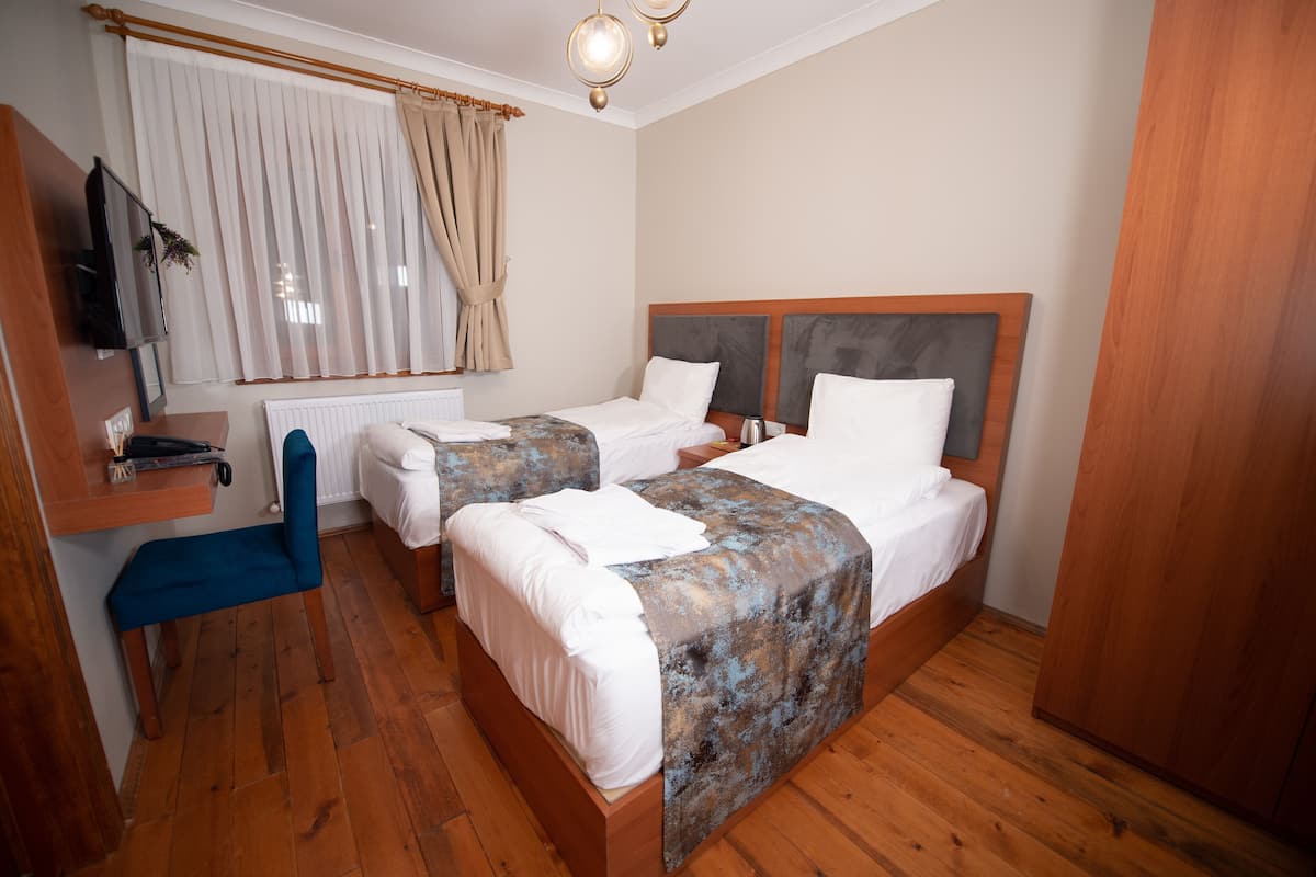 A hotel room with two beds, a desk with a chair, a radiator, and a television.