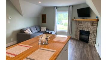 Smart TV, fireplace, books