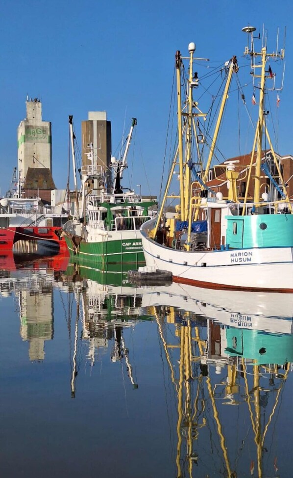 Marina - Beautiful house on the North Sea (Neukirchen)