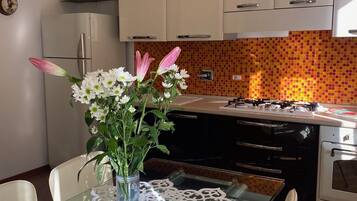 Fridge, oven, stovetop, dishwasher