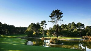 En golfbane med en sø, træer og en klar himmel.