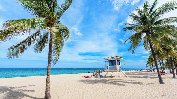 A beach with palm trees, a lifeguard tower, and the ocean in the background. - Tiki Sea Breeze Retreat- Pool+Spa - 5 Min to Beach (Deerfield Beach)