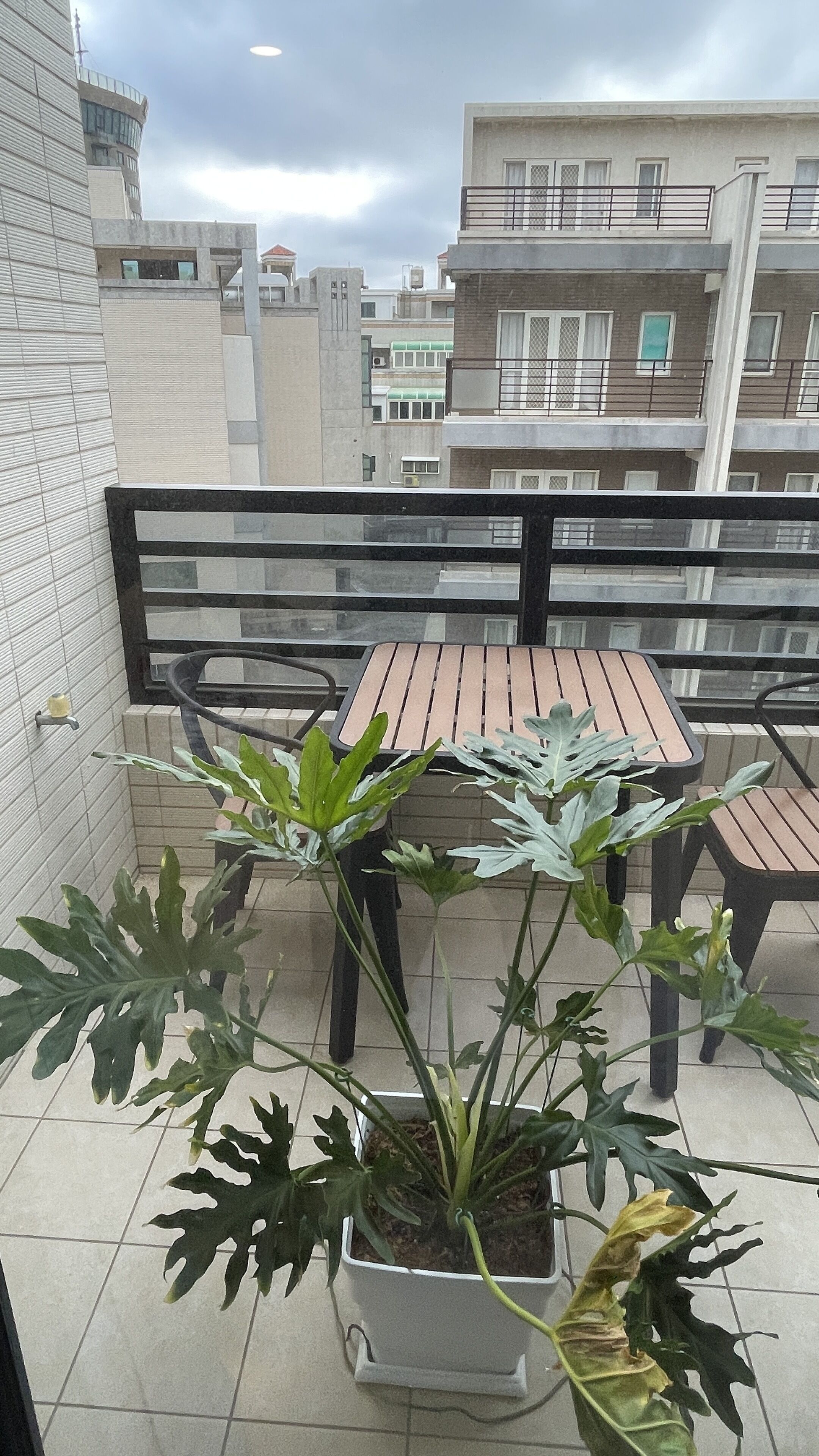 A balcony with a potted plant, a wooden table, and a black railing.