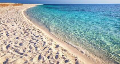 THE TRULLO OF THE WHITE OLIVE TREE