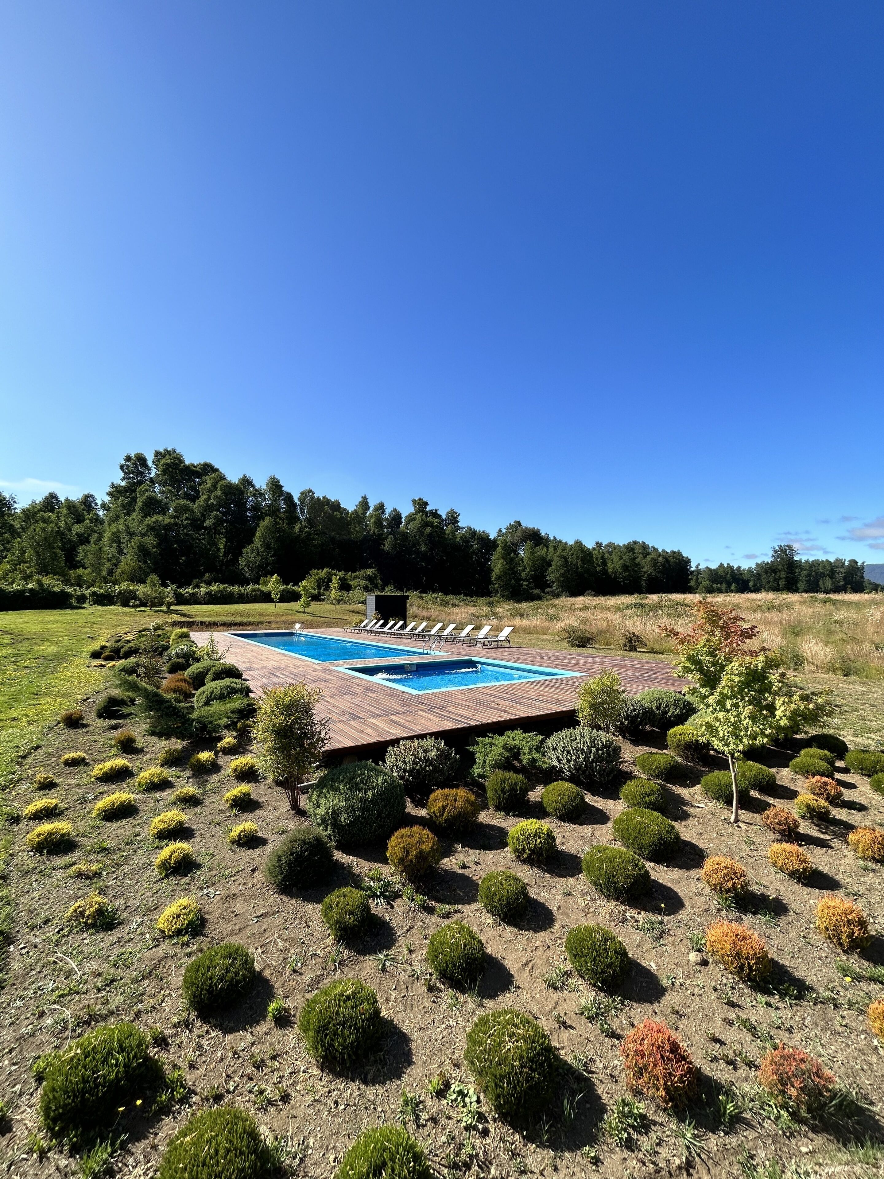 A rectangular pool with a wooden deck, surrounded by neatly trimmed bushes and a few trees in the background.