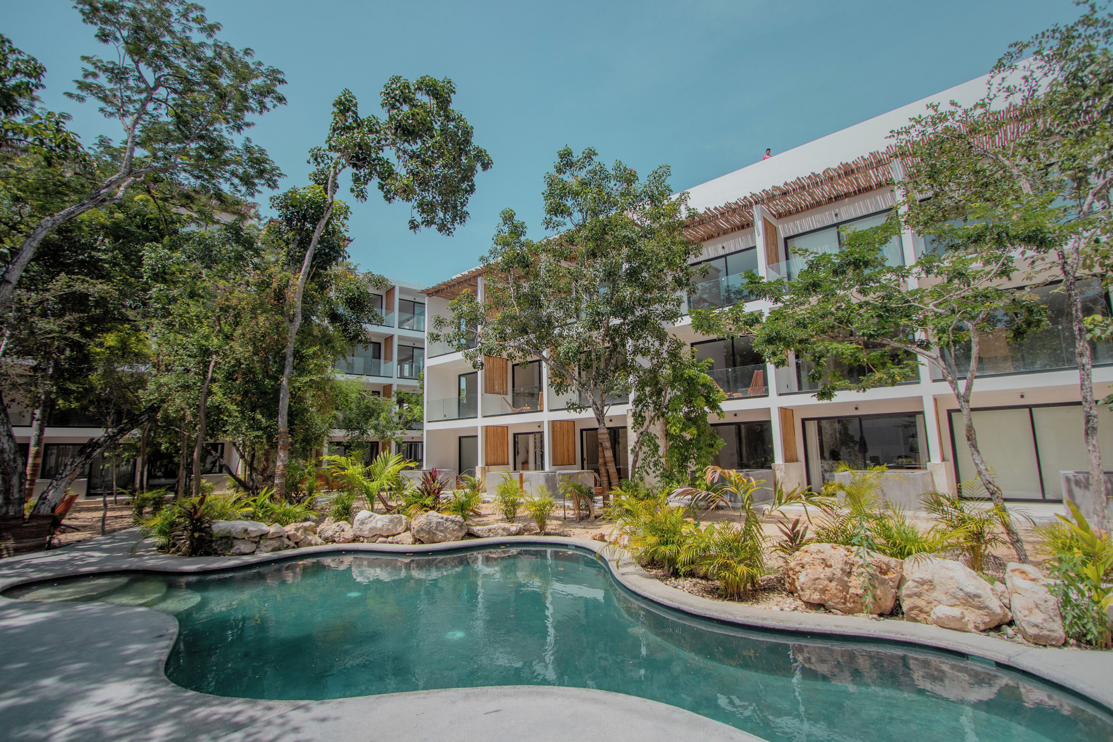 Un bâtiment moderne doté d’une piscine, entouré de plantes et d’arbres tropicaux.