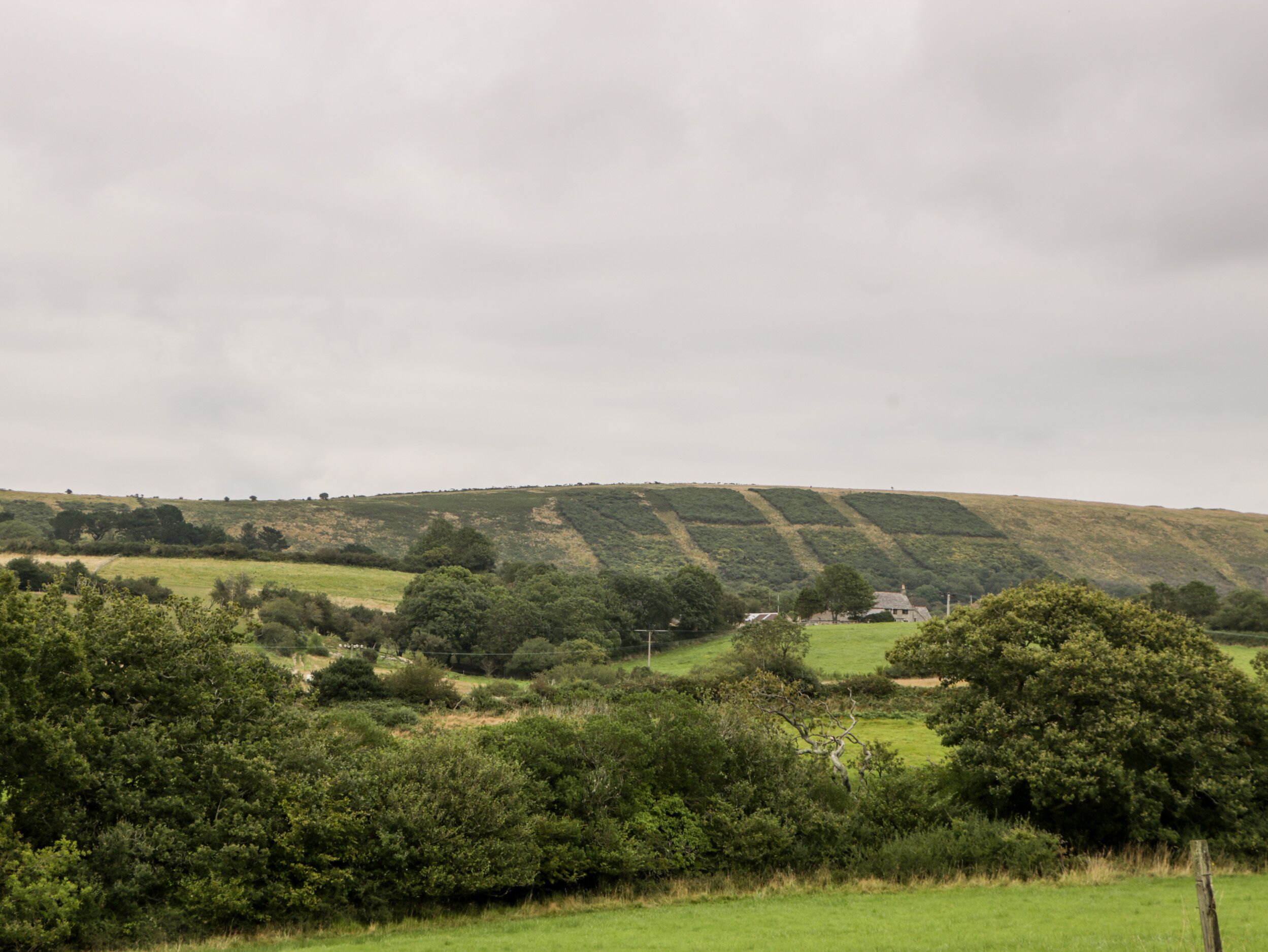 A rural landscape with rolling hills, scattered trees, and a few buildings in the distance.