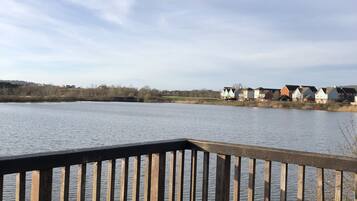 Apartment | Property grounds