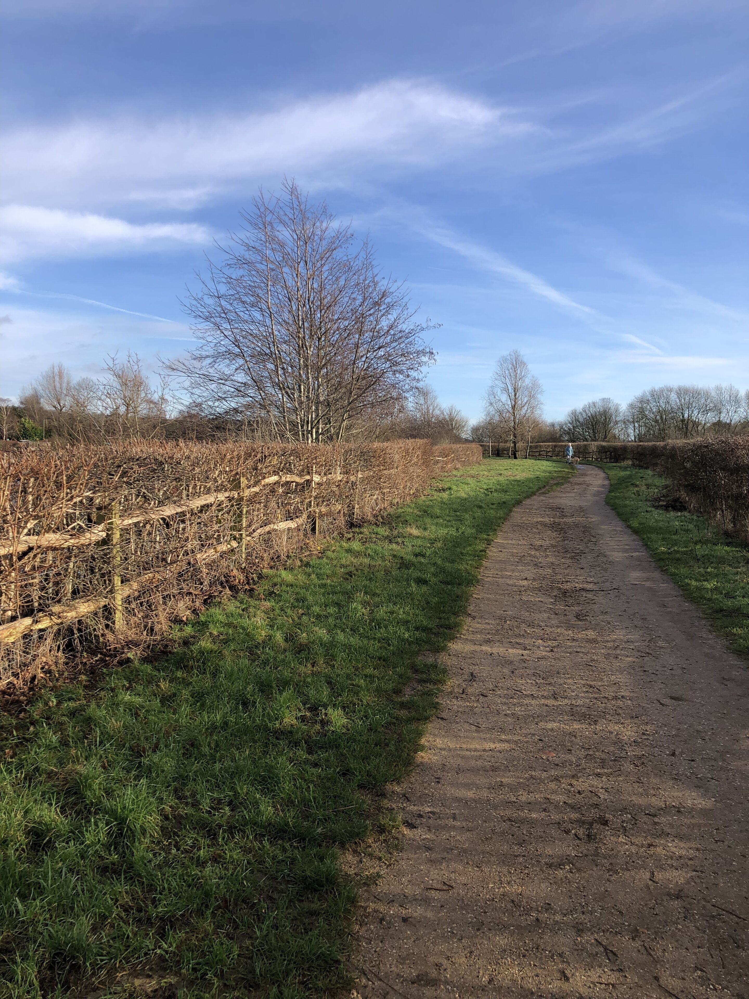 A rural dirt path flanked by fields and hedgerows, leading towards a distant tree line.