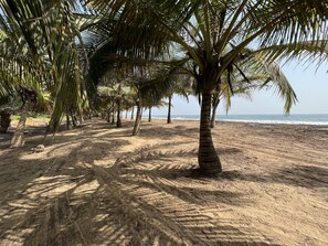 Una playa con palmeras y una orilla arenosa.