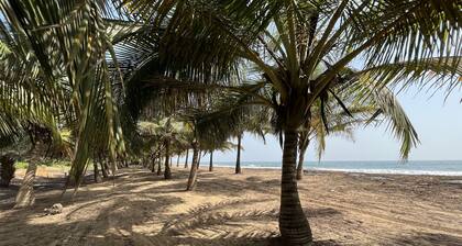 Eco-friendly sustainable family sized spacious home in quiet neighborhood.