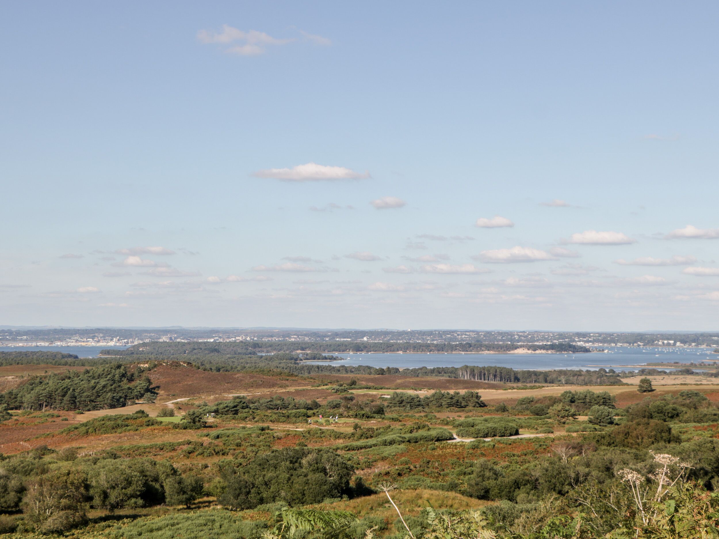 Ein weiter Panoramablick auf eine Küstenlandschaft mit bewaldeten Gebieten und offenen Feldern, ein entferntes Gewässer und ein klarer Himmel.