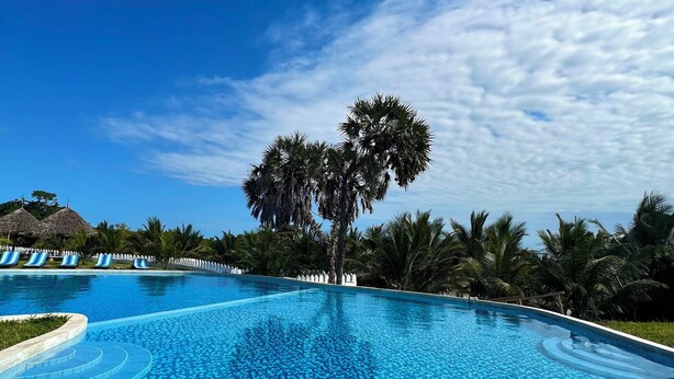 A large, clear blue swimming pool with a palm tree in the center, surrounded by palm trees and a white fence.