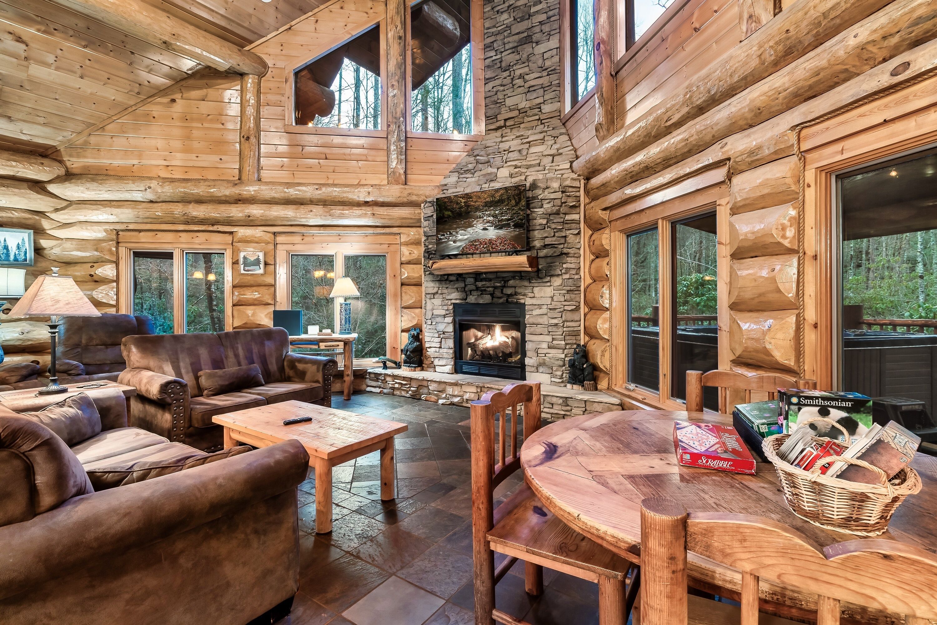 Smart TV, fireplace, video games, books