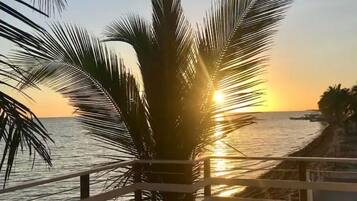A sunset view from a balcony with a railing, palm trees, and a body of water.