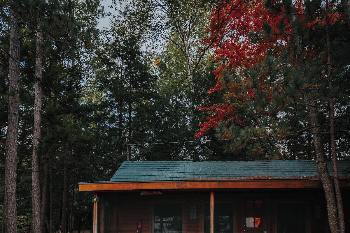 A cabin with a porch, surrounded by trees and a rocky path.