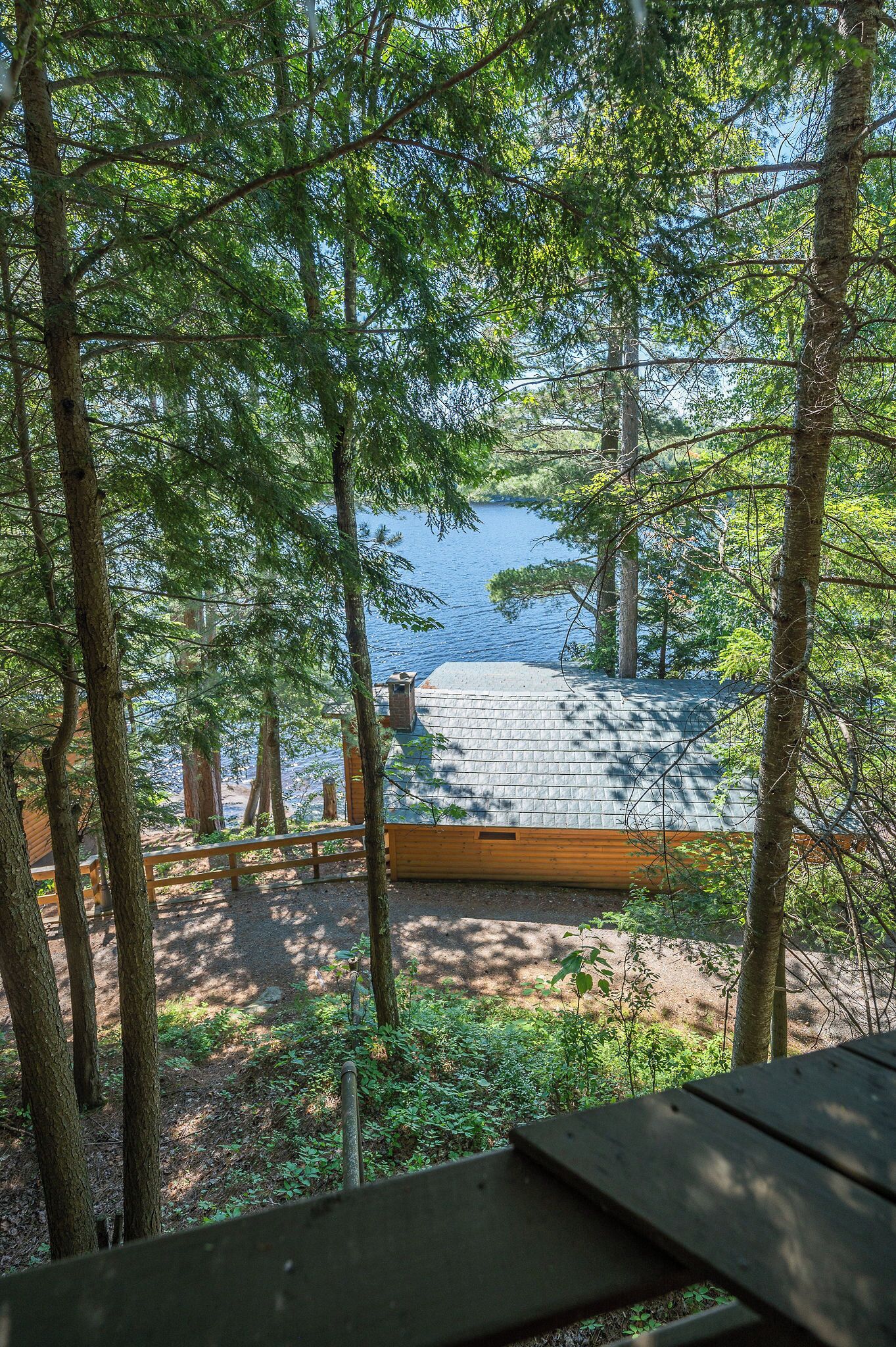 Une terrasse en bois surplombe un lac, avec des arbres denses au premier plan.
