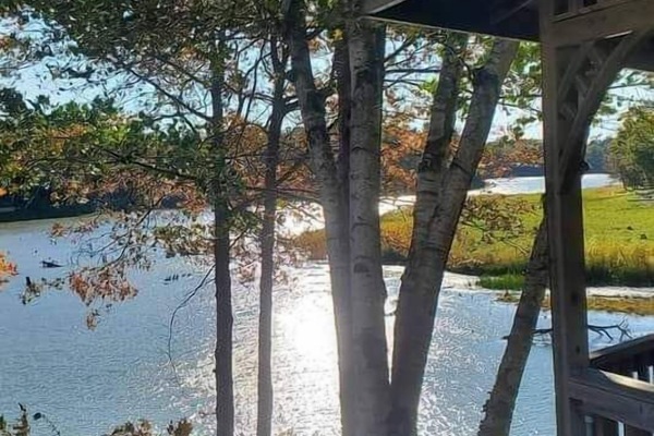 FB IMG 1667065152634