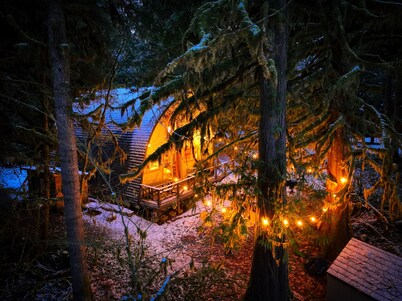 Iconic Arched Cabin | Wood Stove | Near Mt Baker