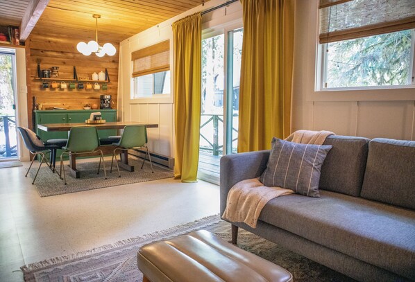 Smart TV, fireplace, DVD player, books