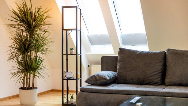 A modern living room with a grey sofa, a tall potted plant, a black shelving unit, and a skylight.