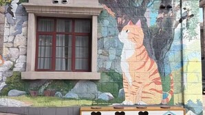 Un bâtiment doté d’une fenêtre et orné d’une fresque représentant un chat.