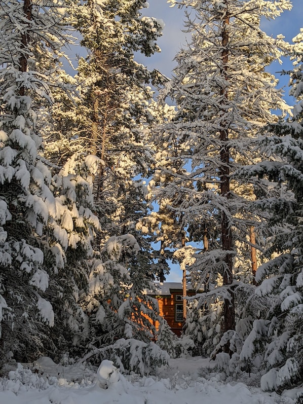 Enceinte de lâhĂ©bergement