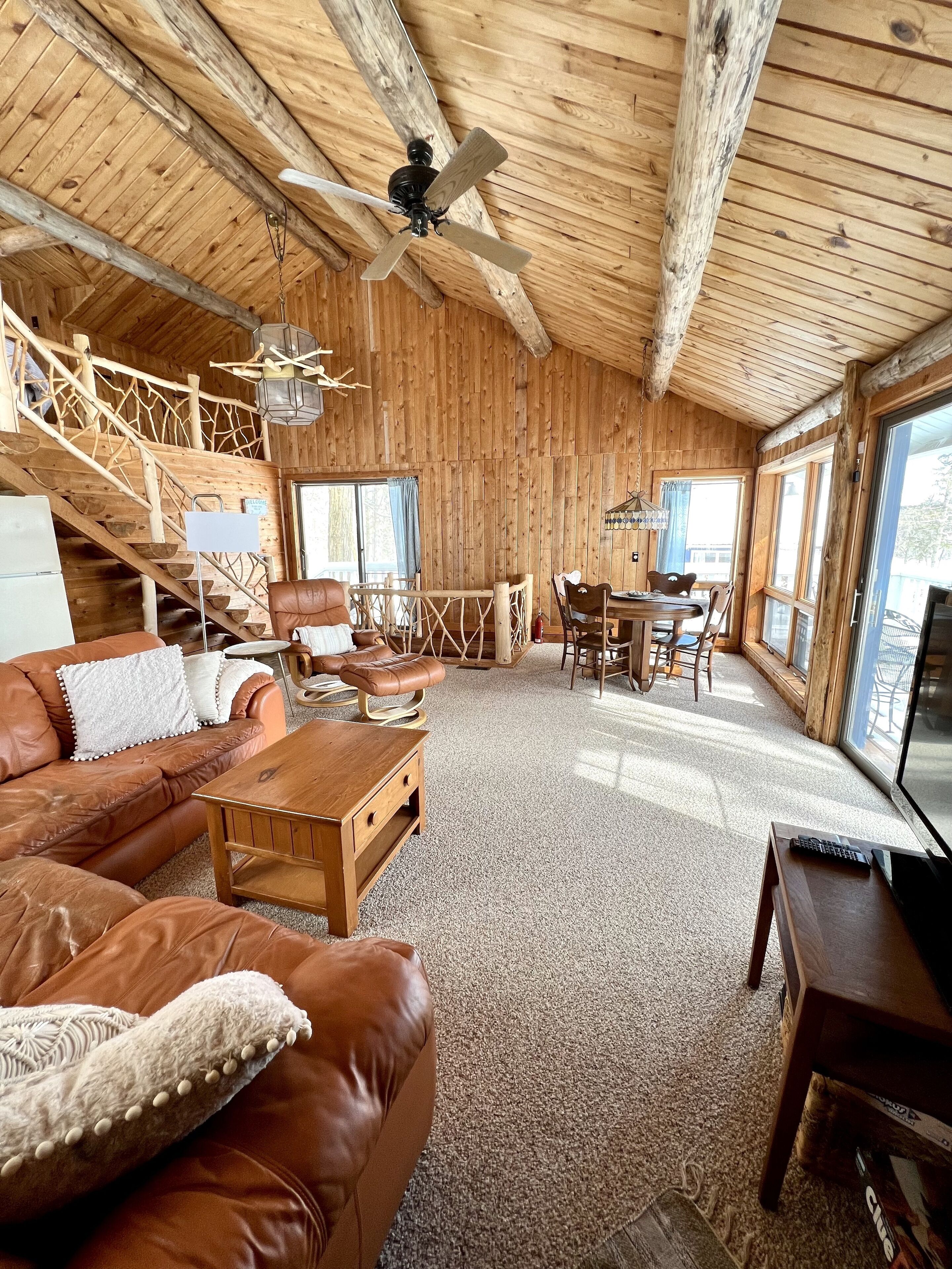 TV connectée, cheminée, lecteur de DVD