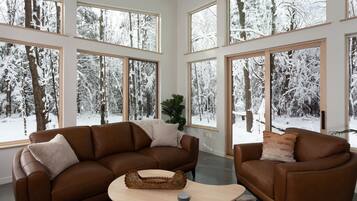 Télévision, cheminée, livres, chaîne hi-fi