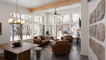 Télévision, cheminée, livres, chaîne hi-fi