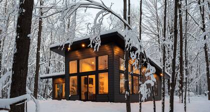 Luxury contemporary cabin escape - 10 min to downtown