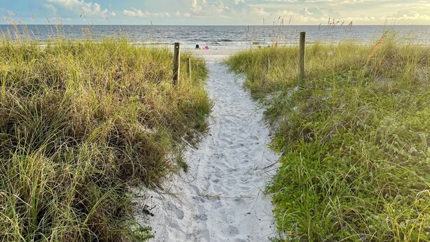 A sandy beach path with grass on either side leading to the sea. - Salt and Sand Studio (Downstairs Only) (Panama City Beach)