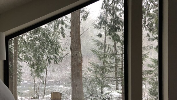 Habitació amb una finestra gran que dona a un bosc nevós.