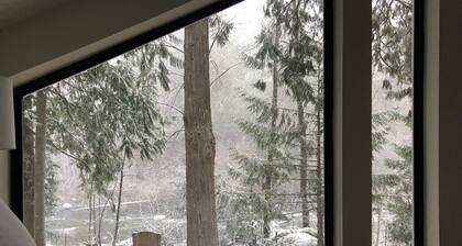 Mid century riverfront cabin. Hot tub, Pet friendly, Riverview