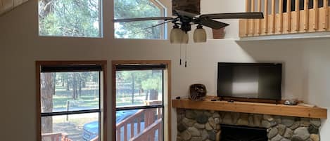 Smart-tv, pejs, videospil, dvd-afspiller