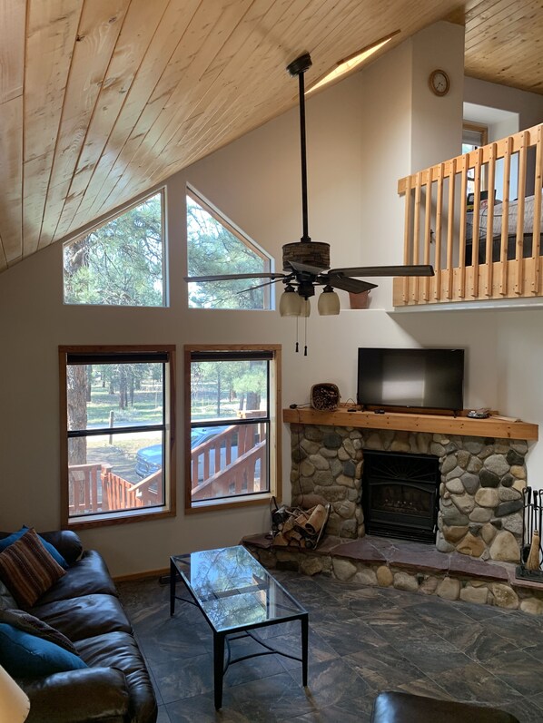 スマートテレビ、暖炉、テレビゲーム、DVD プレーヤー