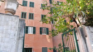 Un edificio de varios pisos con contraventanas verdes, un acceso con reja y una planta en maceta en la fachada.