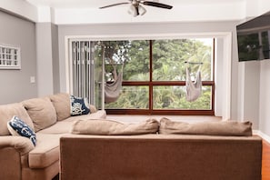 Älytelevisio, kirjoja