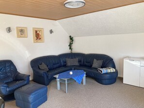 TV, fireplace, DVD player, ping pong